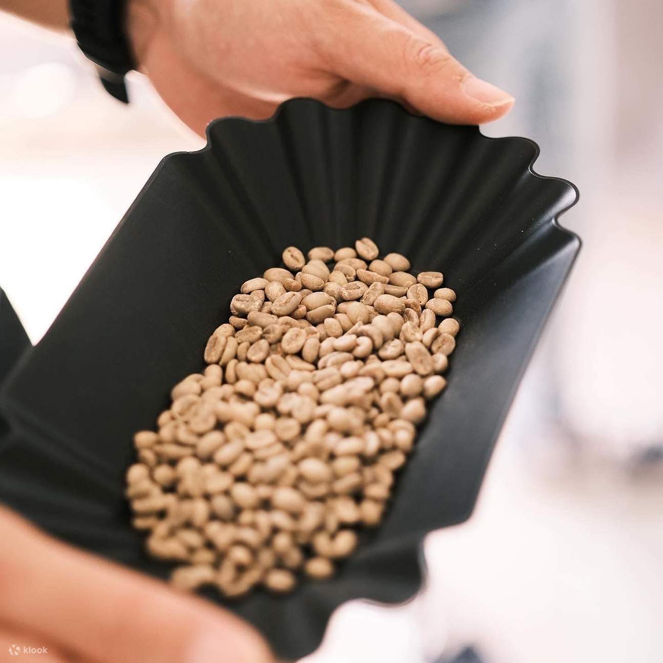 Café tostado + taller de teñido de índigo